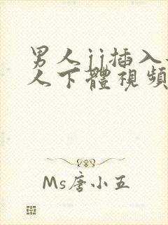 男人jj插入女人下体视频