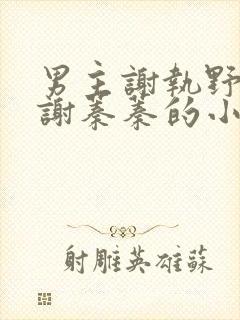 男主谢执野女主谢蓁蓁的小说