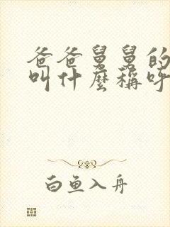 爸爸舅舅的女儿叫什么称呼