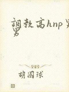 调教高hnp男男