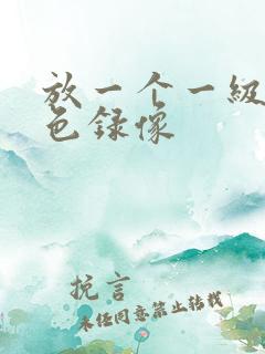 放一个一级的黄色录像