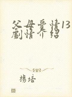 父母爱情13集剧情介绍