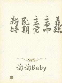 新民主主义革命时期党面临的主要任务是