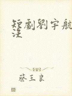 短剧刘宇航结婚没