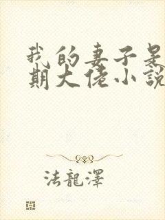 我的妻子是大乘期大佬小说txt