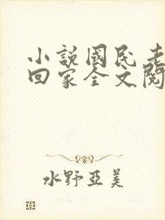 小说国民老公带回家全文阅读