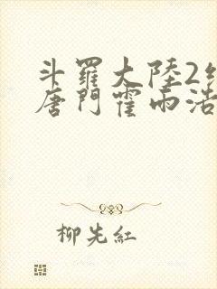 斗罗大陆2绝世唐门霍雨浩小说