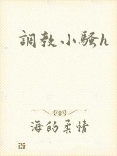 调教小骚h