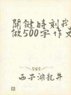 关键时刻我这样做500字作文