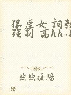 狠虐女 调教 强制 高hh小说