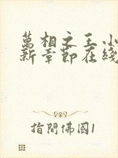 万相之王小说最新章节在线阅读