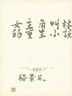 女主角叫林清婉的重生小说