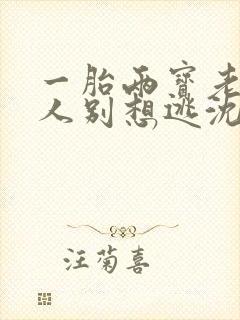 一胎两宝老婆大人别想逃沈蔓歌