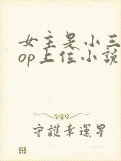 女主是小三的pop上位小说