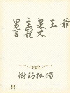 男主是王爷的古言宠文