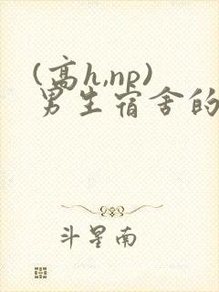 (高h,np)男生宿舍的女同学