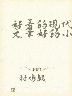 好看的现代言情文笔好的小说