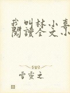 我叫林小喜免费阅读全文小说