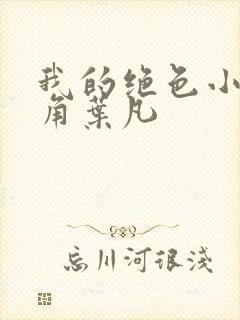 我的绝色小姨主角叶凡