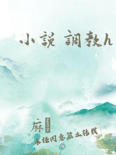 小说 调教h