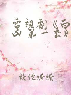 电视剧《白夜追凶 第一季》重逢版 更新