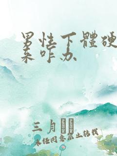 男性下体硬不起来咋办