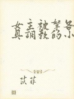 女主被拿各种刑具调教的小说