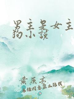 男主是女主养的狗小说