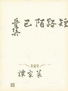 爱已陌路短剧全集