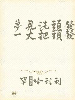 梦见洗头发掉了一大把头发