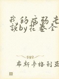 我的病弱老婆小说by花卷全文免费阅读