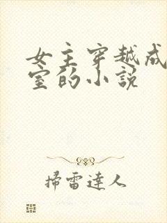 女主穿越成了外室的小说