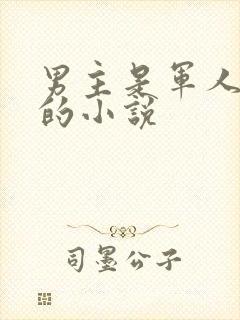 男主是军人姓顾的小说