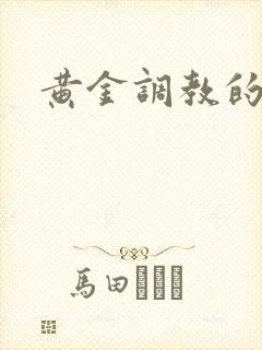 黄金调教的vk