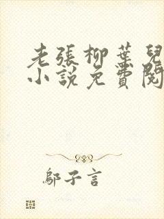 老张柳叶儿媳妇小说免费阅读