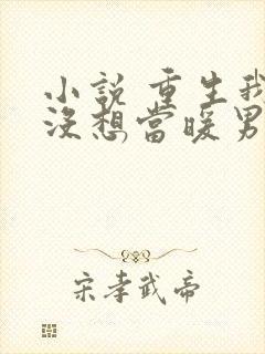 小说 重生我真没想当暖男