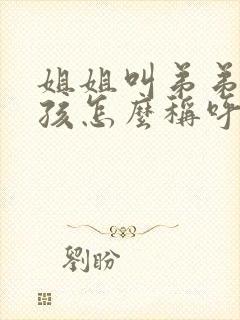 姐姐叫弟弟的小孩怎么称呼