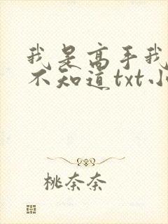 我是高手我怎么不知道txt小说下载