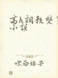 高h调教双男主小说