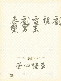 泰剧电视剧大全双男主