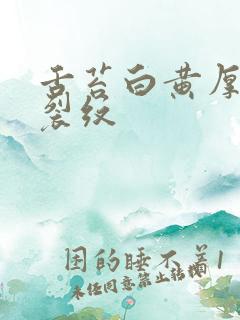 舌苔白黄厚腻有裂纹