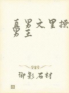 直男文里撩言情男主