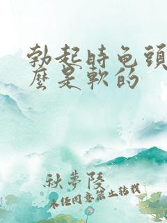 勃起时龟头为什么是软的