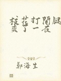 校花打开腿让我爽了一夜