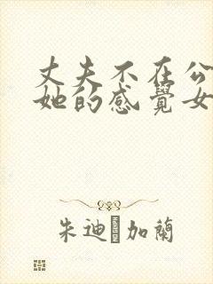 丈夫不在公公对她的感觉女主角是谁