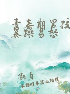 青春期男孩脾气暴躁易怒