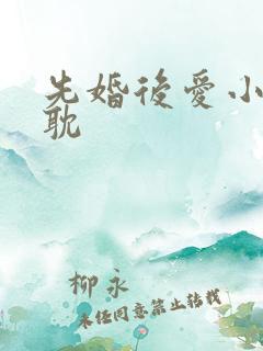 先婚后爱小说原耽