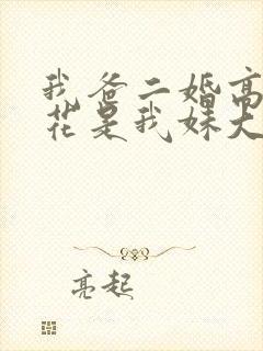 我爸二婚高冷校花是我妹大姐扮演者