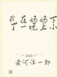 我在妈妈下面爽了一晚上小说