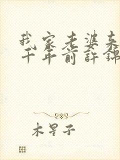 我家老婆来自一千年前许锦